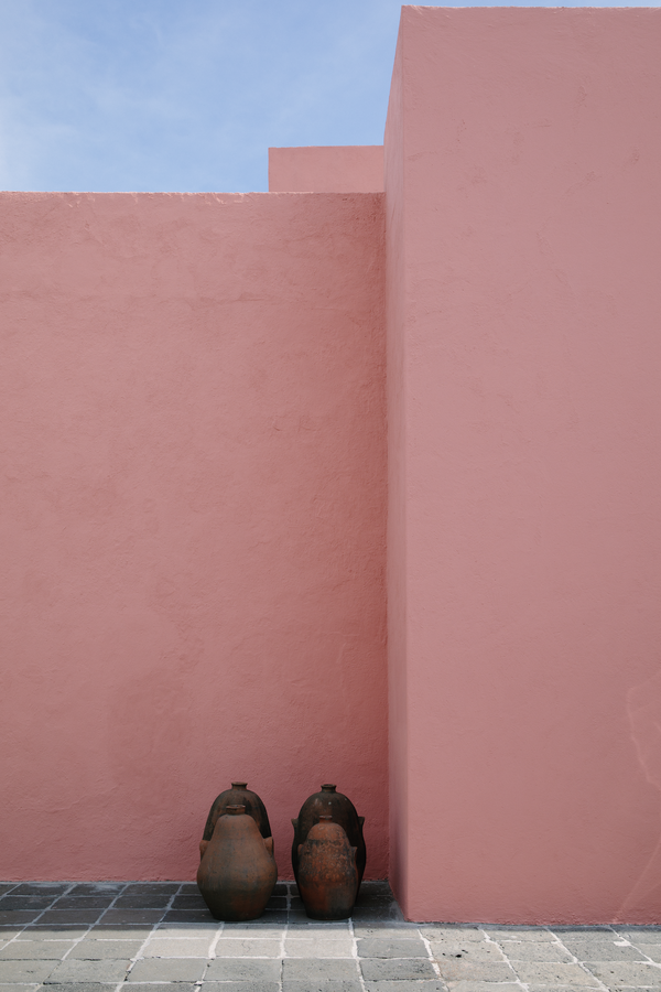 Mexico City Pink