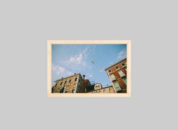 Bird Above Venice (Soft Focus)
